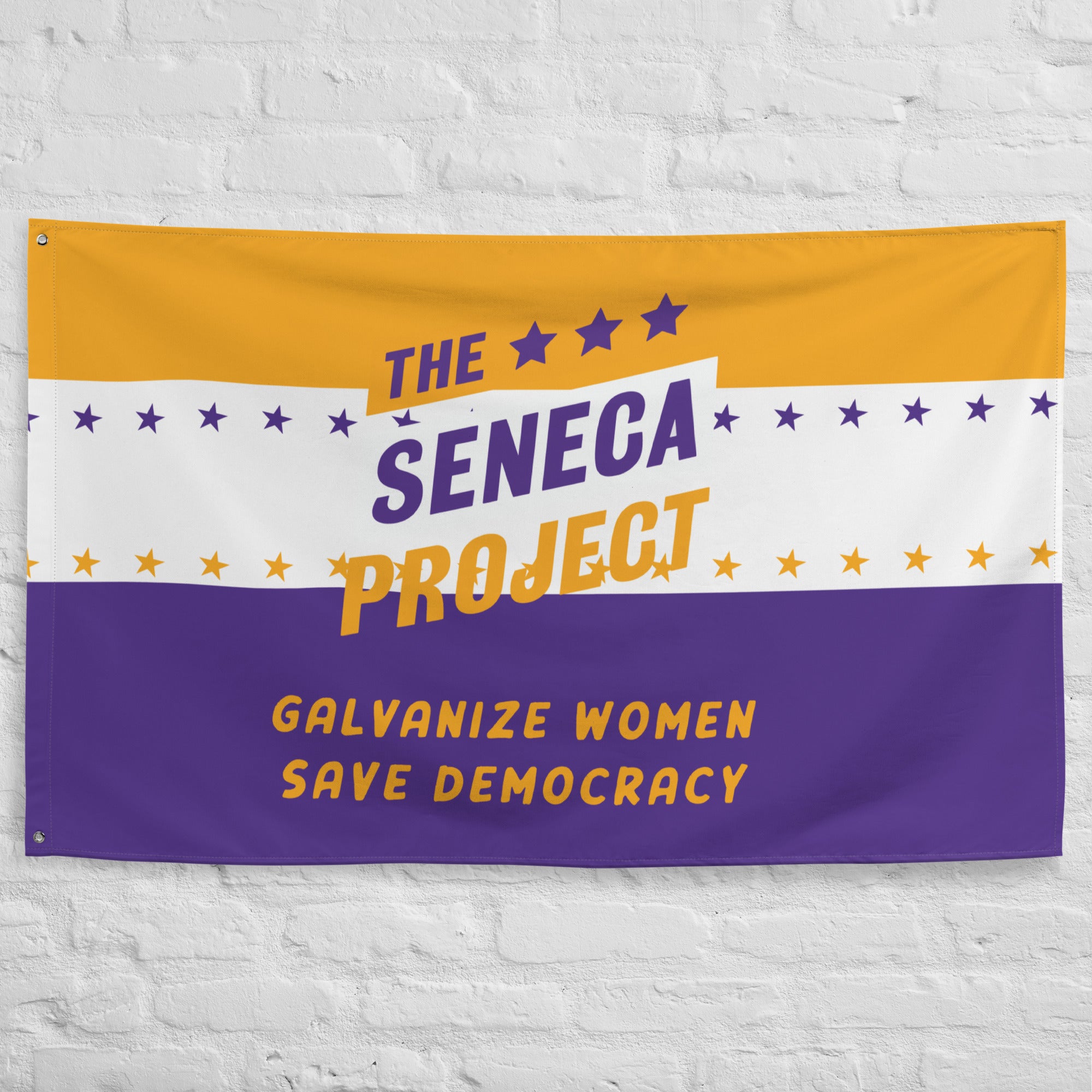 SENECA PROJECT VINTAGE WOMEN'S RIGHTS FLAG – The Seneca Project Store