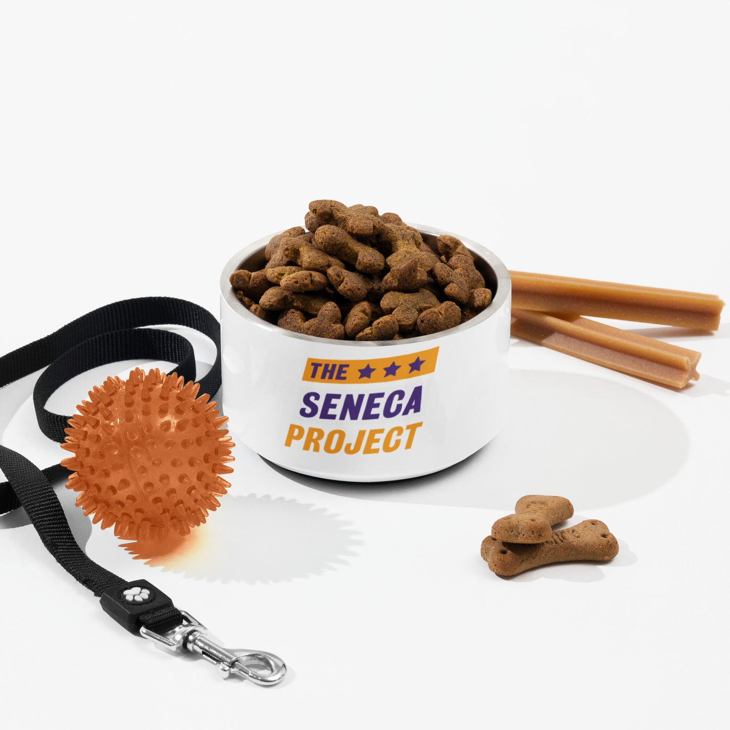 SENECA PROJECT PET BOWL